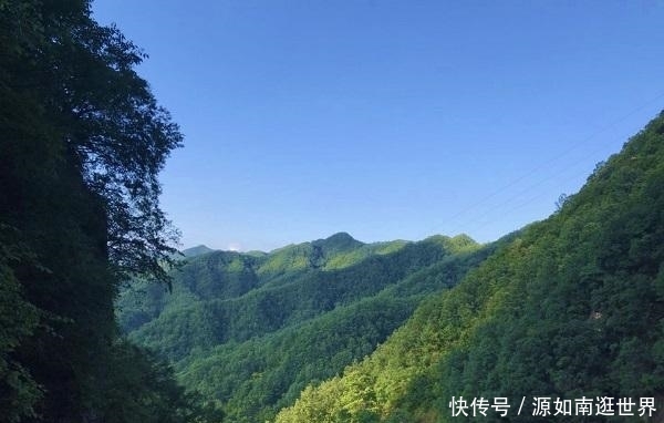 河南栾川这个村竟有百年黄连木，主人说是曾祖父种下，太有故事了