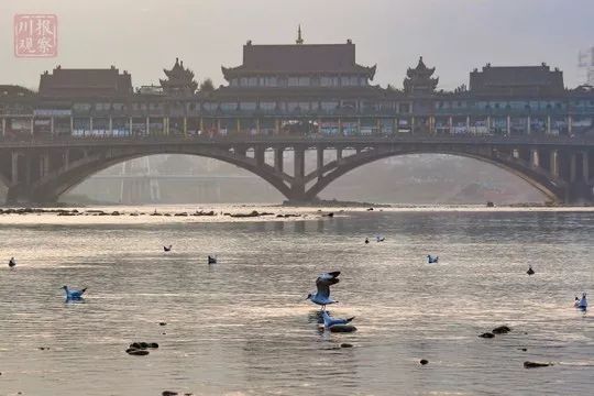 四川这2市进全国前十！全国333个城市地表水大排名