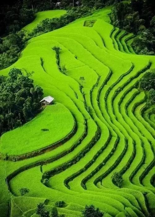 天堂照片!(快看)