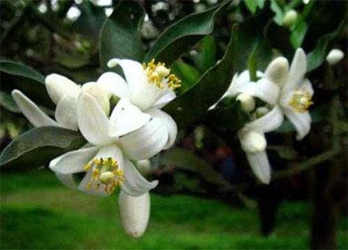 长螨虫期，脸上最明显表现有4点，原是美丽杀手，你有中招吗？