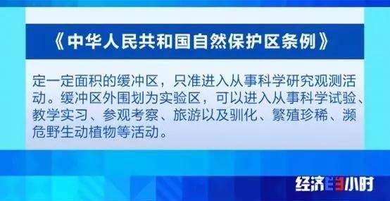 北回归线唯一“绿肺”正在哭泣！保护区森林树木被毒死、被砍伐…