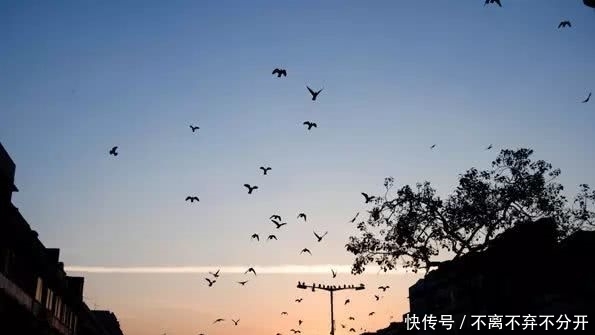 摄影师给的11个建议，超级实用！