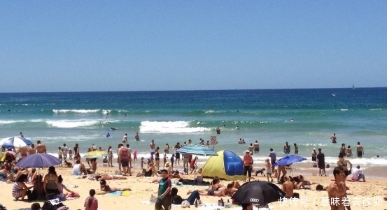 好养眼!中国人到悉尼的海滩,看到这样的画面,都不想走了