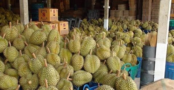 泰国人:怎么不见中国人来旅游?国民:我们不要命吗?生命最重要