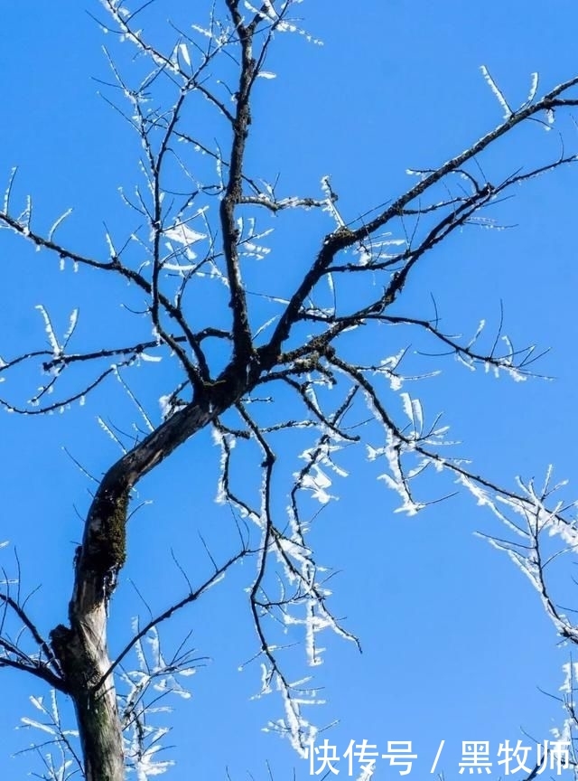 冰雪:灌阳风情:宝盖山的冰雪世界