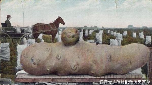  【饥荒】美国才是“浮夸风”的鼻祖，超出你想象的照片，带来的