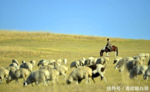  『斯人也』天将降大任于斯人也，必先苦其心志，一代天骄成吉思汗也不例外
