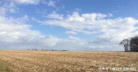  农民|农民福音——村土升值，别高兴得太早，这4个证你有吗