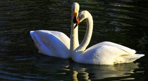 无论风光摄影还是人像摄影，光线的角度同样影响着摄影！