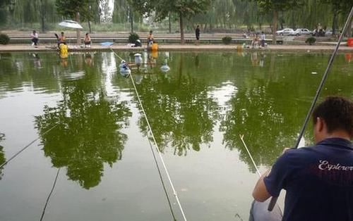  花钱■为什么很多钓鱼人不愿意玩黑坑，是怕花钱还是没技术