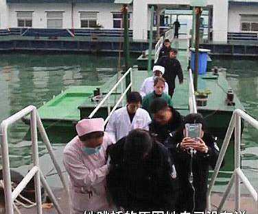 登录查看大图
