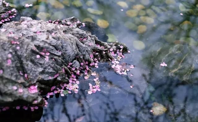 这几个地方景色太美还免费，网友大呼：辞职也要去看看