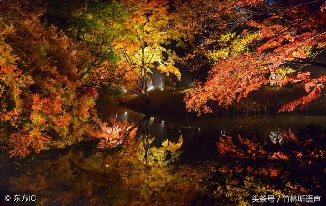 遇见秋，犹如故人归，愿时光多一些明媚，岁月静好，你亦无恙！