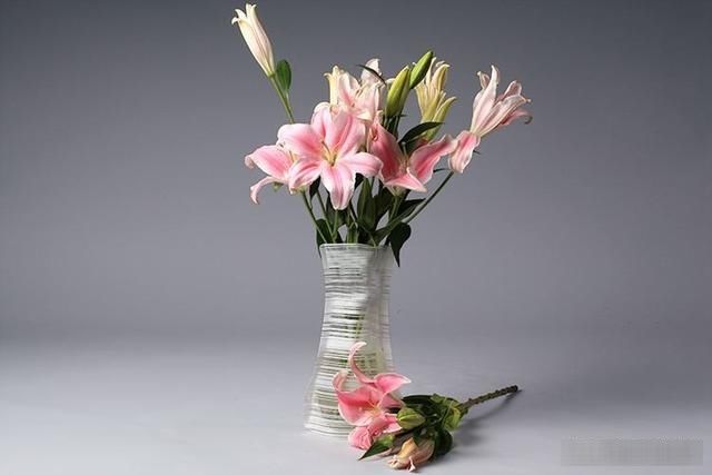「寓意」花中仙子百合花,不为人知的历史背景,花艺插花中的花语及寓意