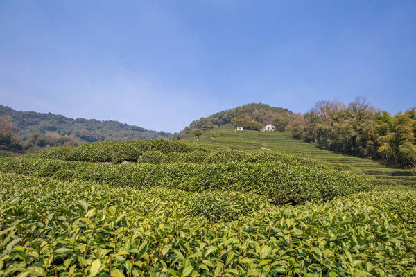 西湖最冷门的旅游路线，人少景美，一般人都不知道