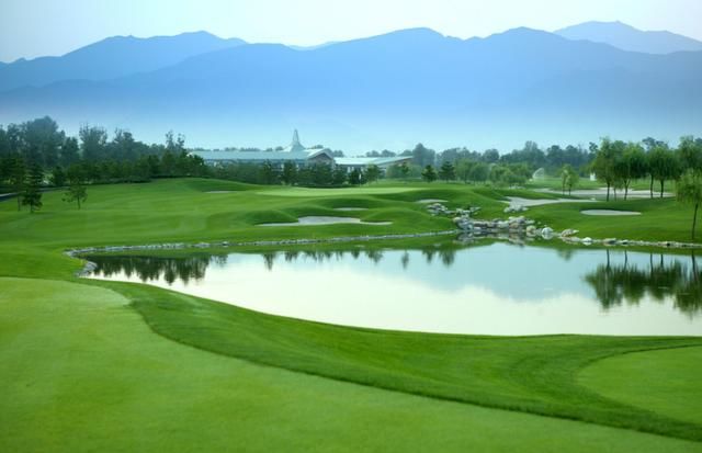 滨至温州 花开鹿城 滨江集团2018温州新闻发