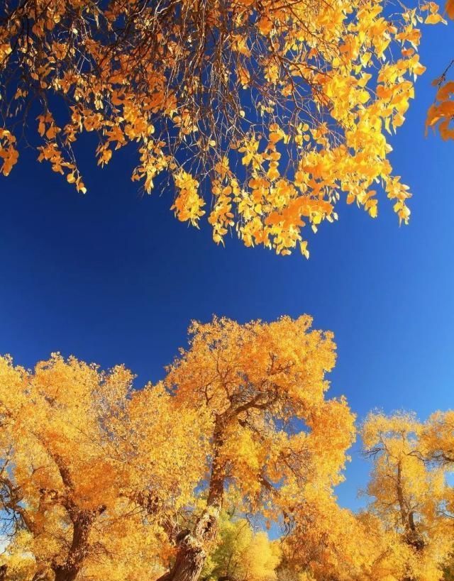 中国最美的50个地方，你去过几个