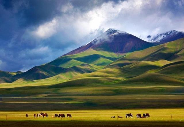 国内草原排行榜 中国草原景点最顶级的有哪些