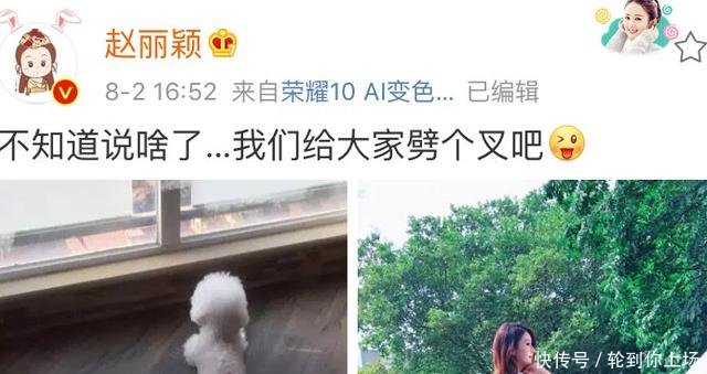 赵丽颖被曝怀孕停工，却靠一张图成功辟谣，网友辟谣就服你