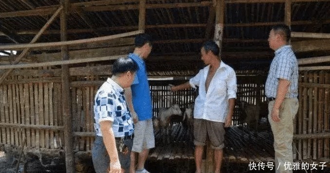  [明年]明年开始，农村将禁止建新房？农民别慌，好消息在后面