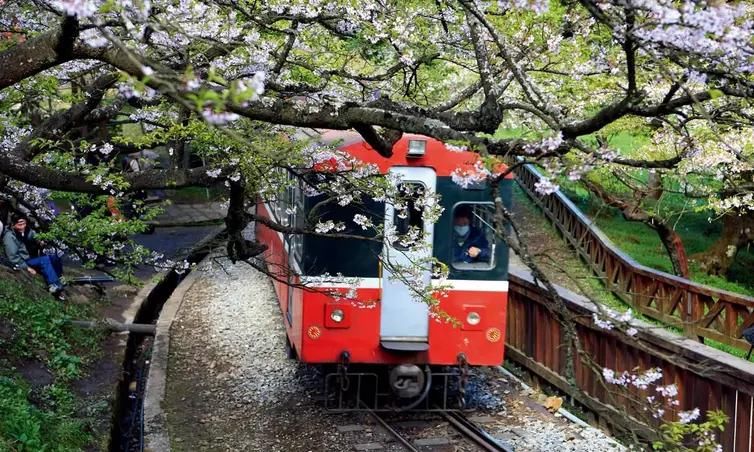 国内36条经典自驾游线路重点推荐，再也不用担心房车旅游去哪玩了