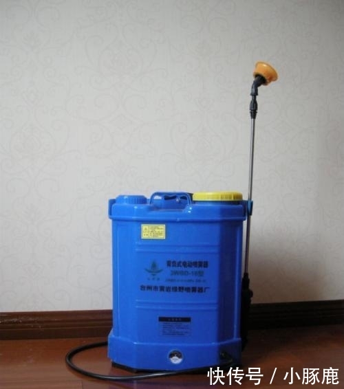 认识5个正常, 10个算厉害, 全部都认识的你就超“神”了!