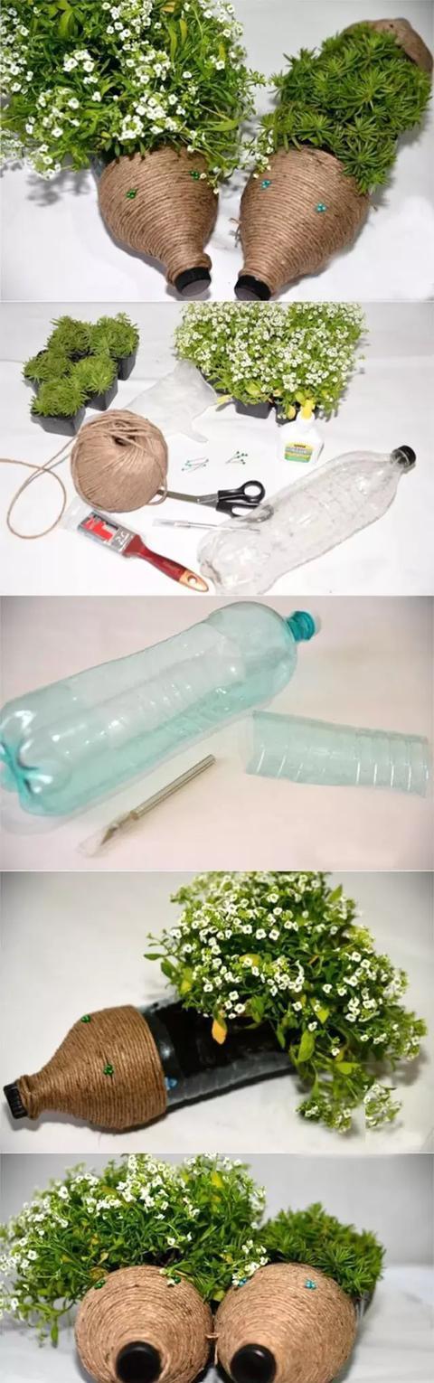  『扦插』养护神器：塑料瓶千万别扔，用来养花用处多