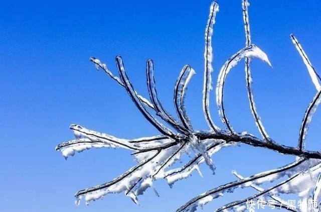  冰雪：灌阳风情：宝盖山的冰雪世界