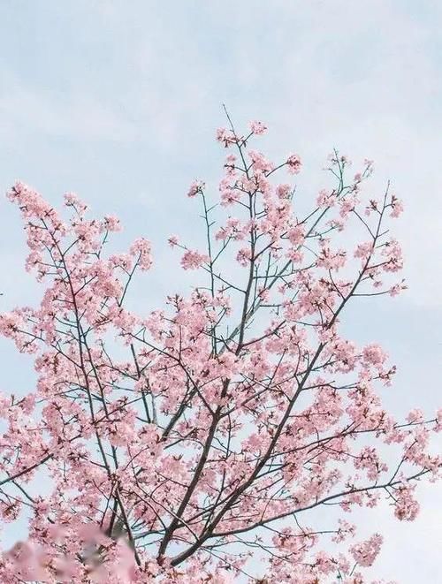  『随肌应变焕亮隔离膏』粉色那么美，你该知道怎么搭最高级！