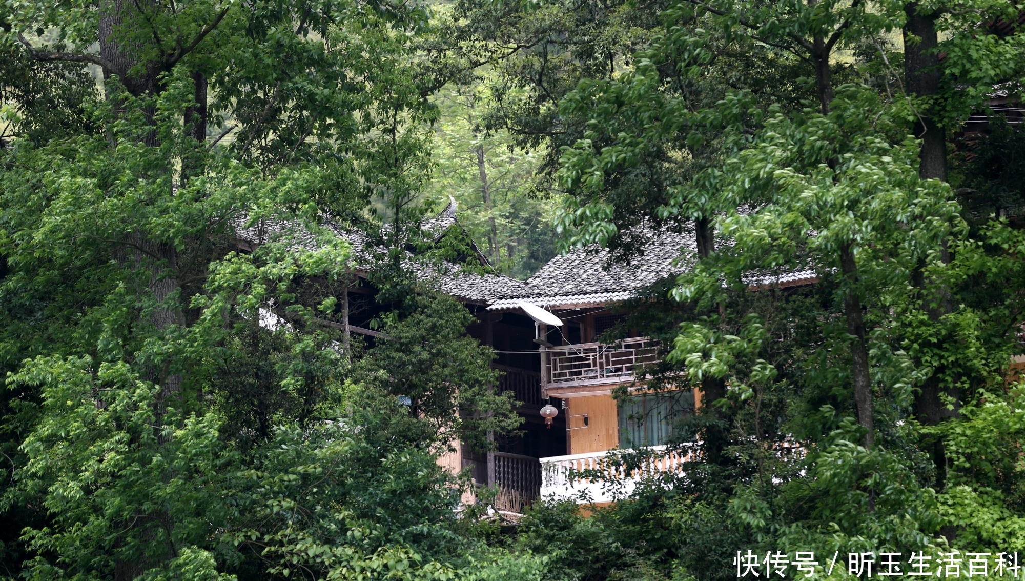 重庆一个土家院落被湖北大山包围着 一拨一拨的老外跑来跳摆手舞