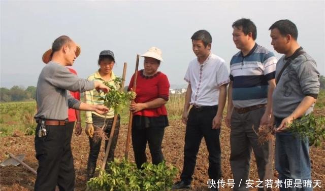 未来5年，农村3个高薪且体面的工作急需人，有想法的农民不妨尝试