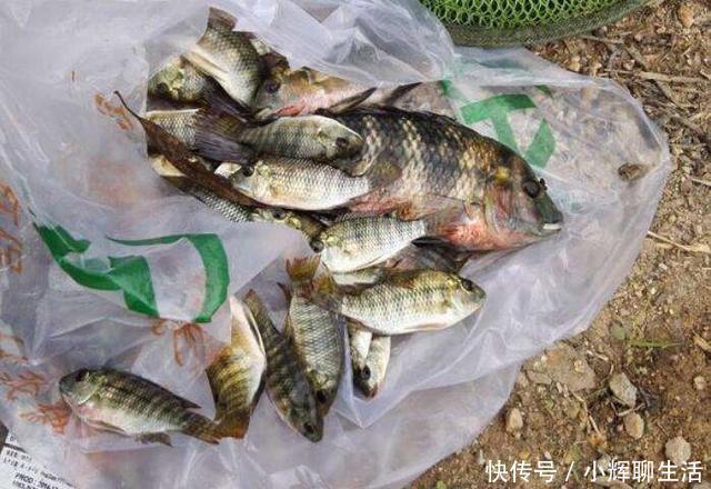 炎热的天气在冰凉的泉水里钓鱼，渔获虽少但给钱都不卖