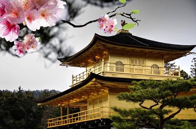 为啥日本男人进家门后要大喊“他大姨妈”！导游回答后所有人大笑