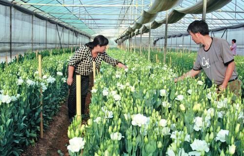 农村有四个职业已经“崛起”，有想法的人不妨试试，收入还不错