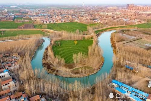  「染白」二十只白鹤“赖”着上百天不走，粪便把青瓦染白，当地人大开眼界