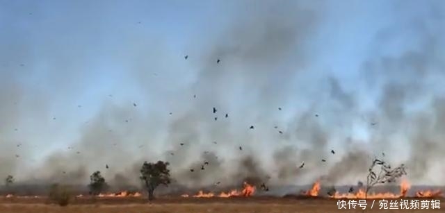 澳大利亚山火什么时候结束