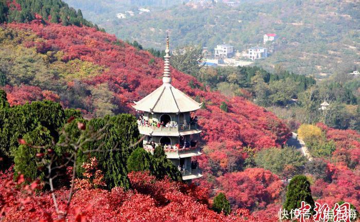 冬游齐鲁·好客山东惠民季在济南启动 邀民众畅游“诗与远方”