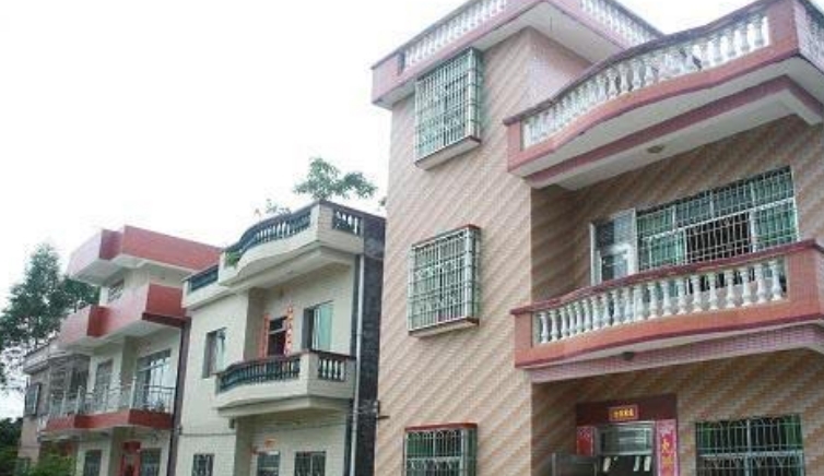 统一规划农村住房, 随意建房要严惩, 农民的一个问题, 专家却哑口