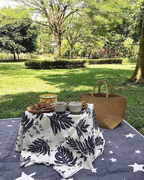 东南亚最上镜国家恢复电子免签证，160元get通关秘籍