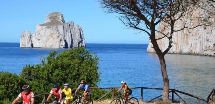 全球都在出招“修理”坏游客