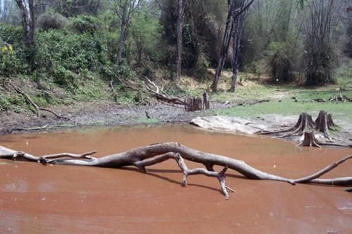 在摄影师15年的个人成长影像记录里,有原汁原味的印度南部风情