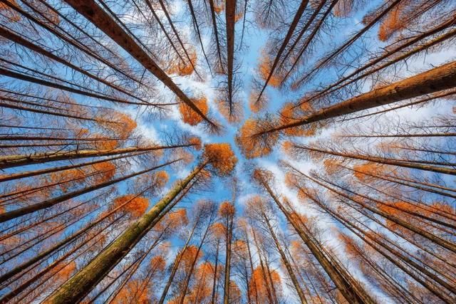 江苏最冷气温多少