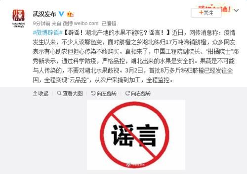 传染■山东辟谣｜湖北产水果不能吃？院士辟谣：果蔬不可能与人传染