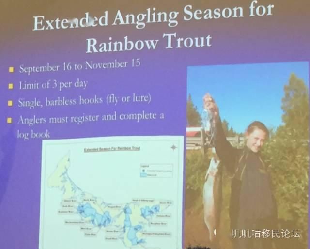  [不需要鱼证]爱岛解禁，渔季到来，我们可以去钓鱼吗？需要注意哪些规定？