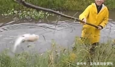 发现■男子发现烂泥沟内有异常,扔下一块泡沫后的收获却把他给乐坏了
