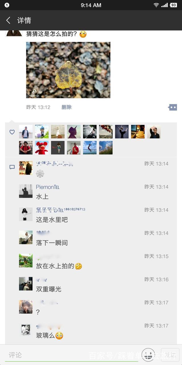 一张叶子照片引发质疑，看完拍摄经过，网友大喊“骗子”