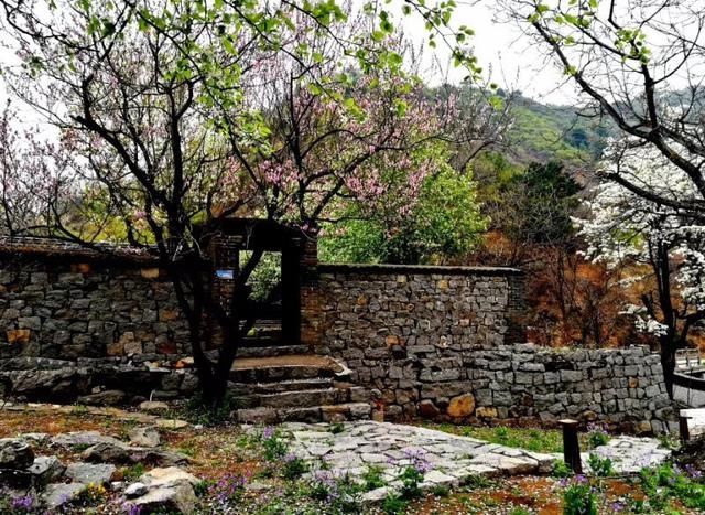  农户@城里人与农民签订宅基地上房买卖合同无效，但可向农户追偿