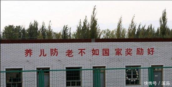 计生新规 提倡生育两个子女, 网友 只生一个好国家来养老