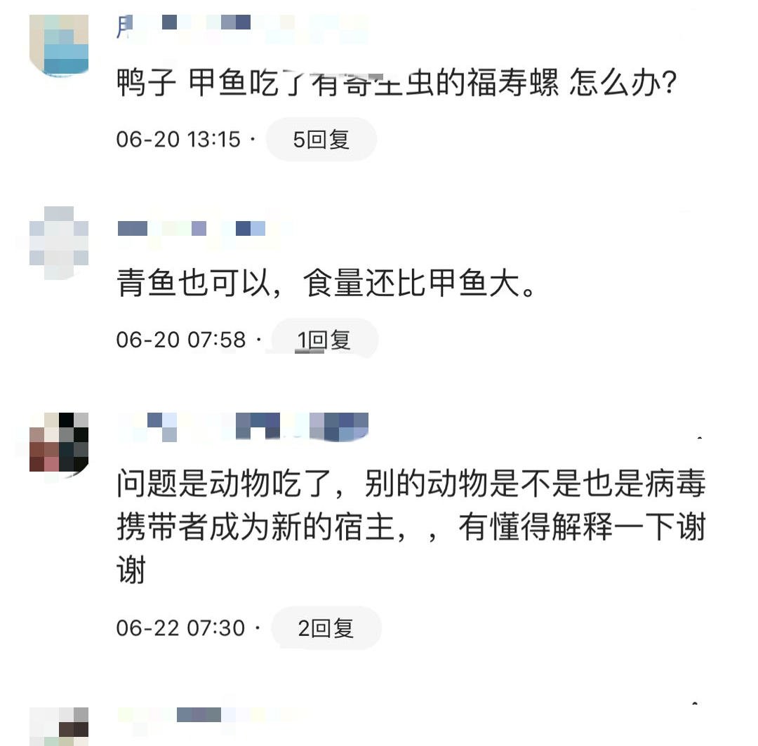  克星@福寿螺祸害浙江多地难治，村民养殖却发现其“克星”，三年