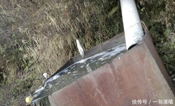 四川九寨沟厕所乱象频生污水随意排入岷江毁坏环境